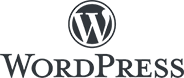 Nowoczesne strony wordpress